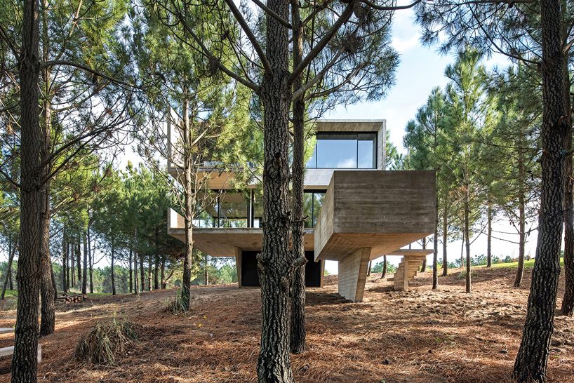 luciano kruk stacks concrete volumes to build a 'house in the trees' in buenos aires designboom