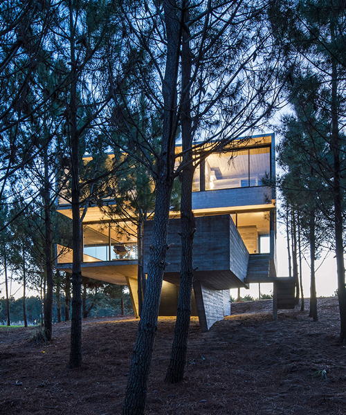 luciano kruk stacks concrete volumes to build a 'house in the trees' in buenos aires
