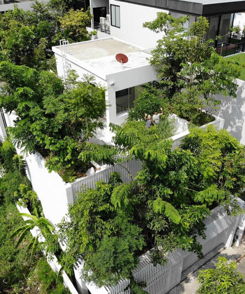 shma company limited integrates more than 100 trees within the forested house in bangkok