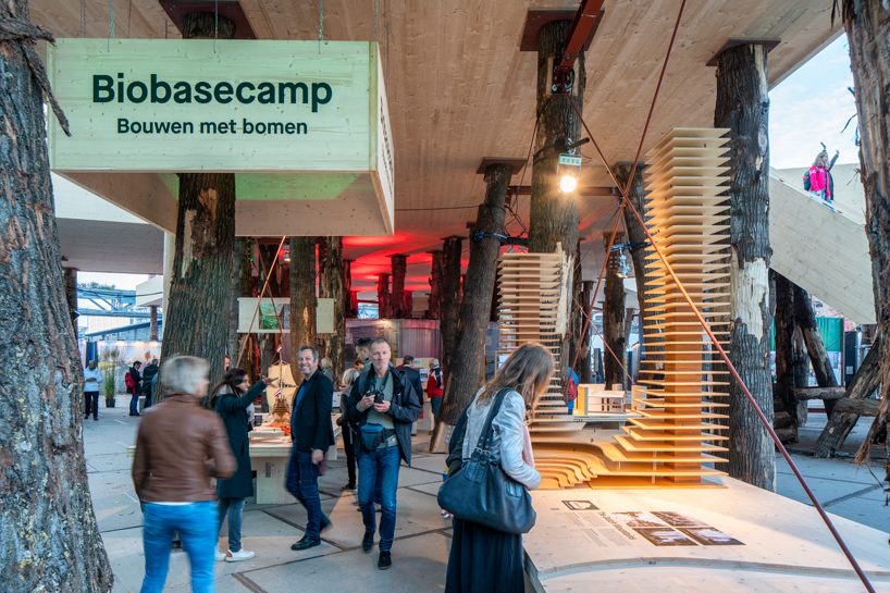 studio marco vermeulen builds against climate change with wooden biobasecamp pavilion designboom