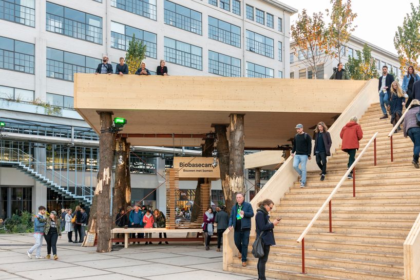 studio marco vermeulen builds against climate change with wooden biobasecamp pavilion designboom