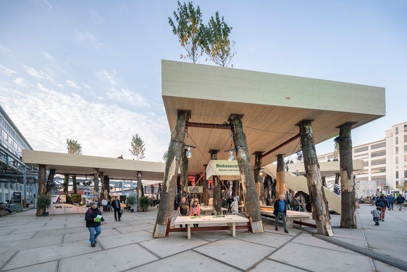 studio marco vermeulen builds against climate change with wooden biobasecamp pavilion designboom