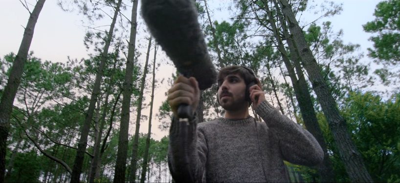 the HY project adds artificial sound to electric cars to stimulate plant growth