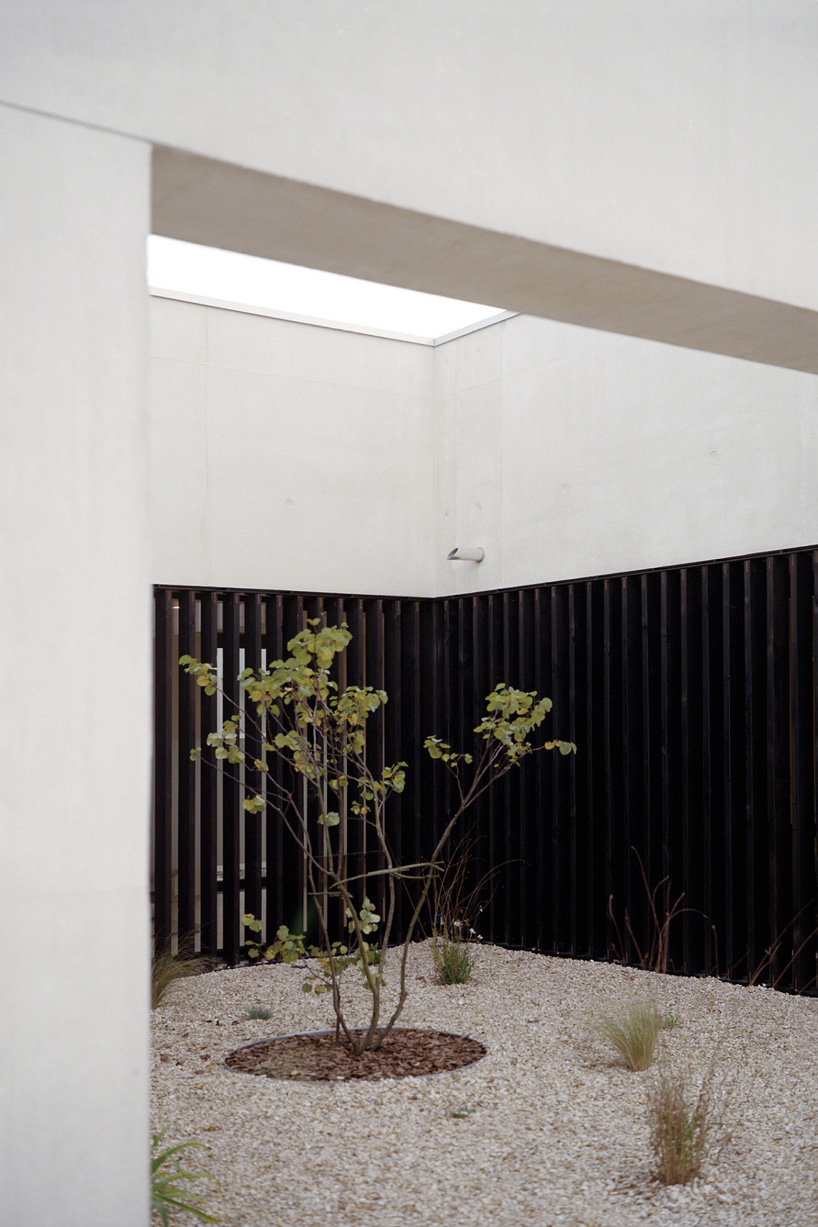  A6A combines white concrete + charred wood for les patios health center in france