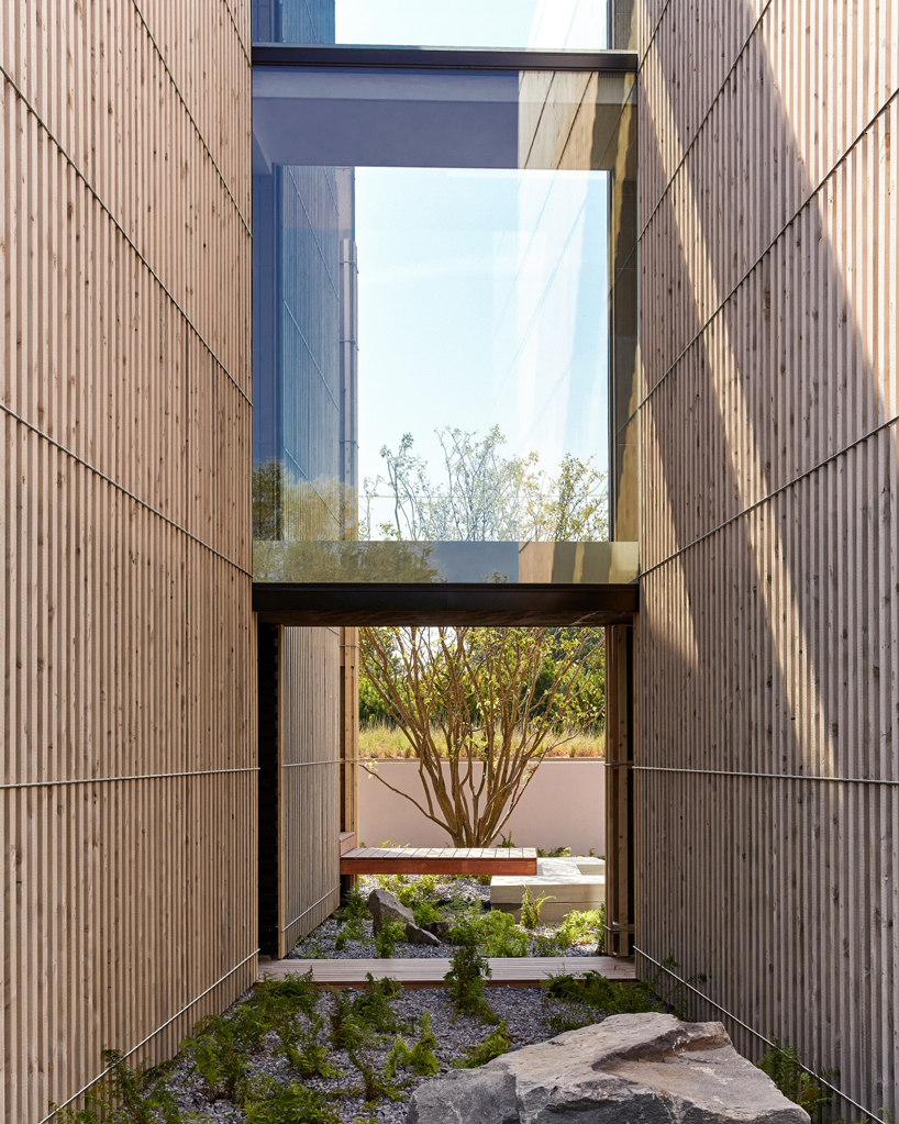 bates masi + architects breaks apart and elevates long island house to embrace flooding