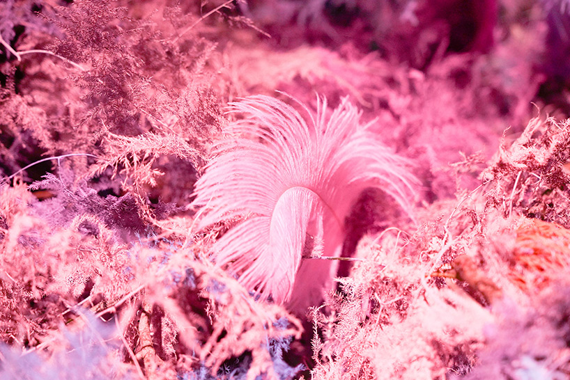 conversations with nature: an introspective homage to earth at miami's brickell city centre