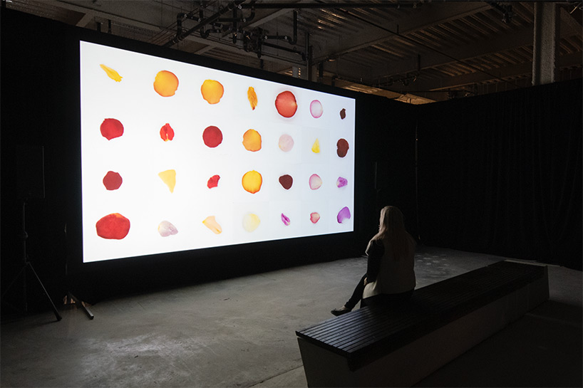 conversations with nature: an introspective homage to earth at miami's brickell city centre