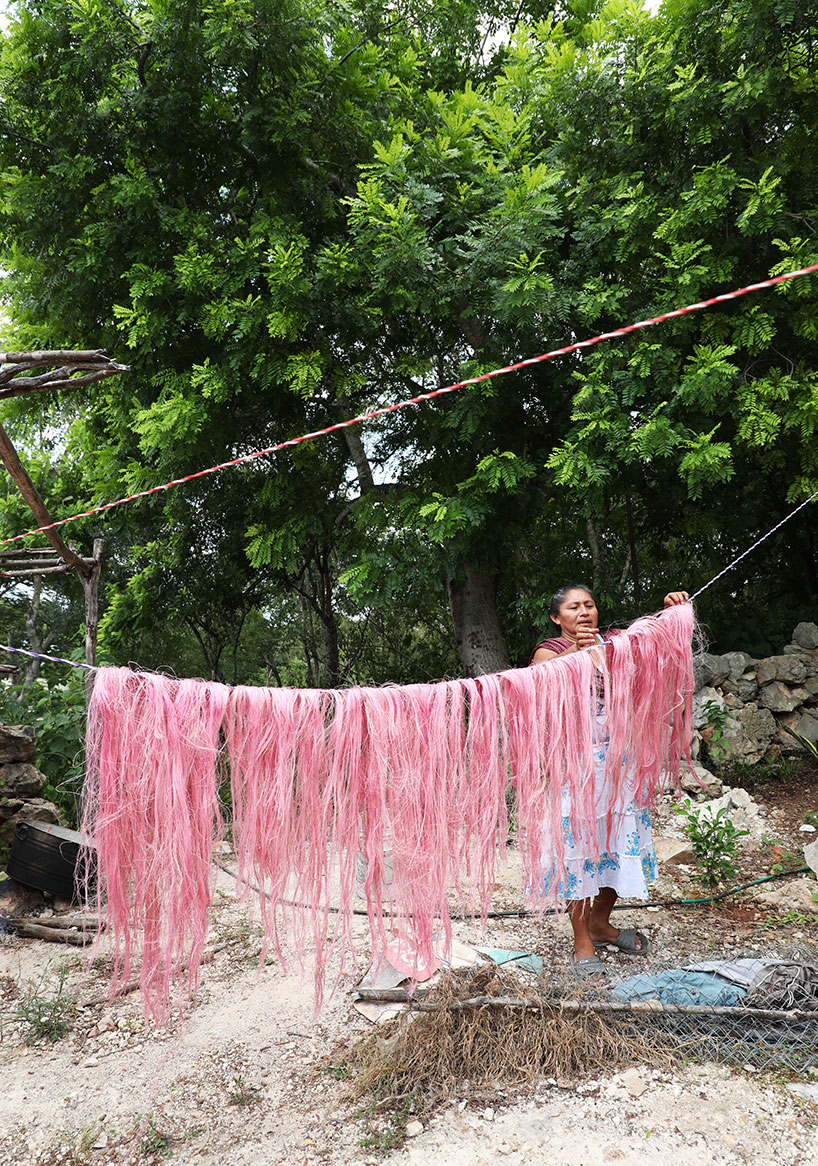 fernando laposse's naturally-dyed pink beasts at the miami design