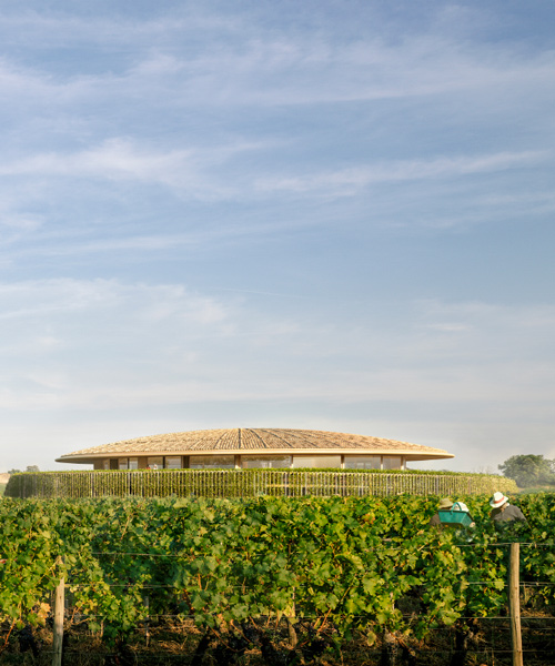 foster + partners plans domed winery that blends with bordeaux's rolling landscape