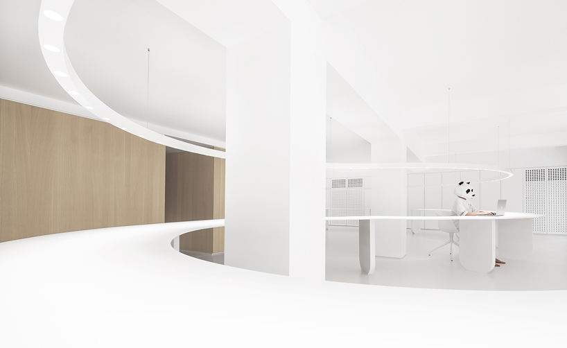 panda design builds a new office around a curved workspace in xiamen, china designboom