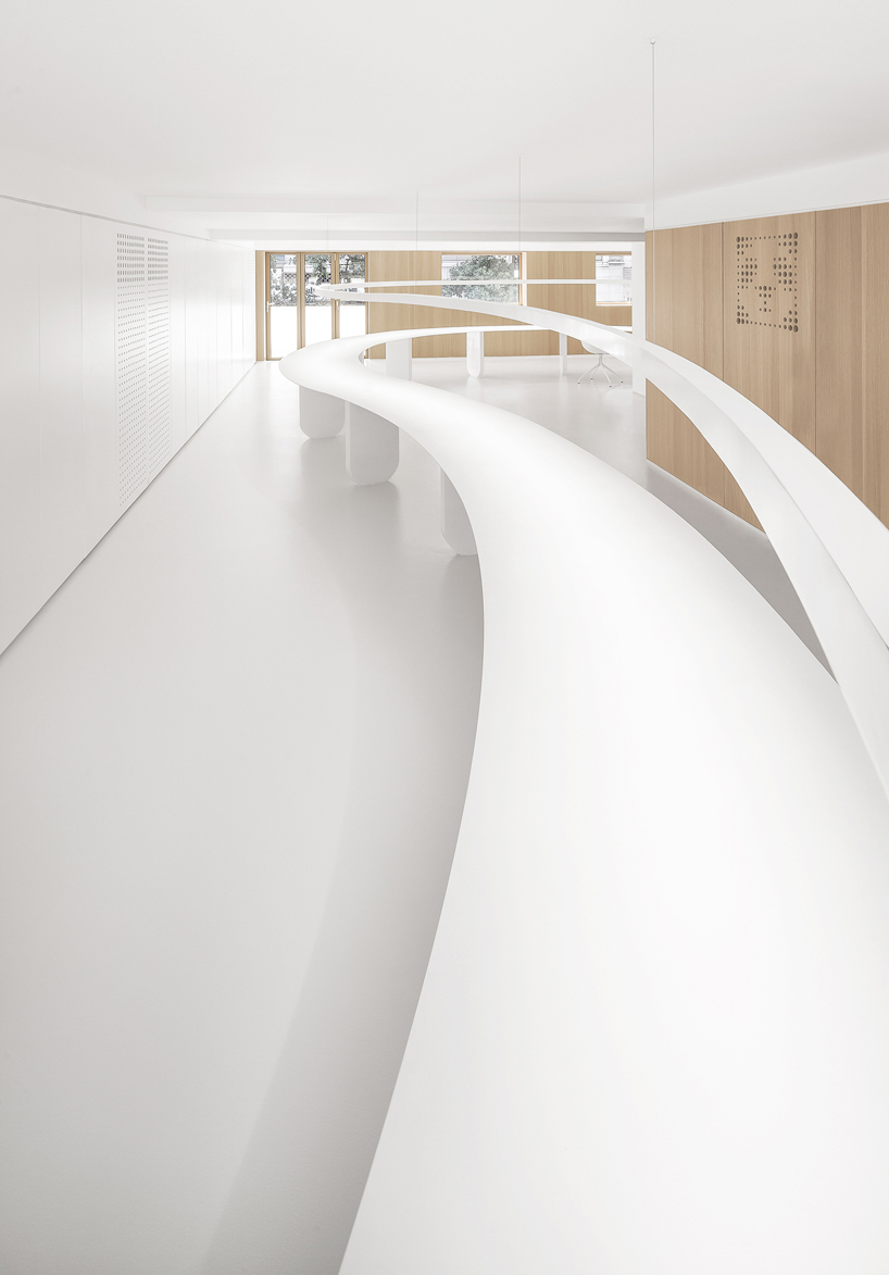 panda design builds a new office around a curved workspace in xiamen, china designboom