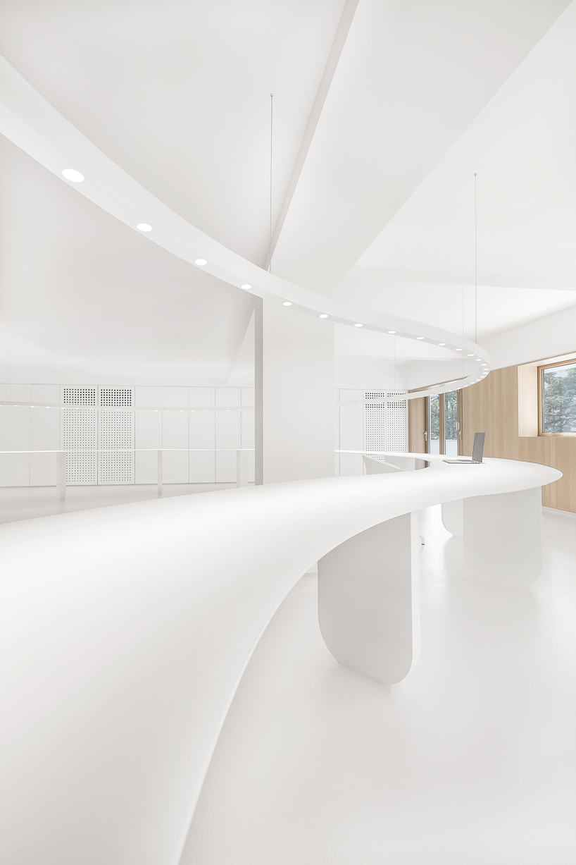 panda design builds a new office around a curved workspace in xiamen, china designboom