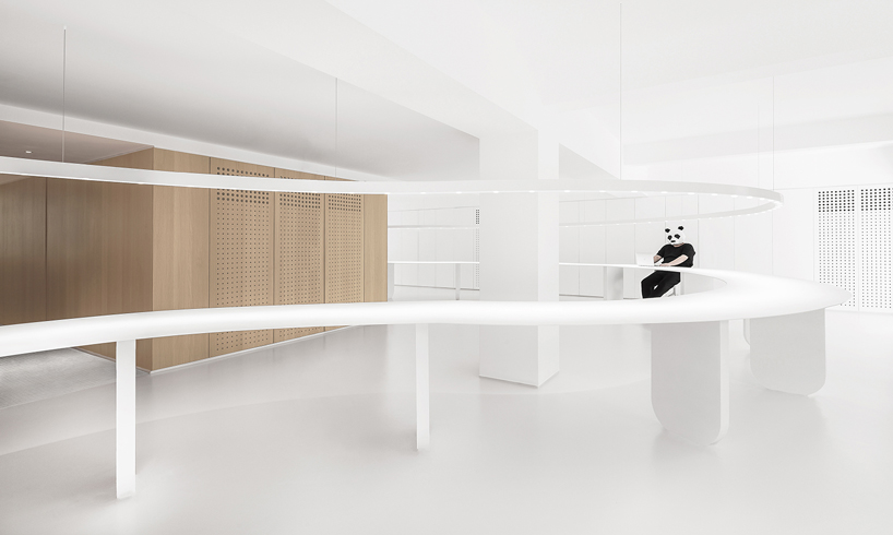 panda design builds a new office around a curved workspace in xiamen, china designboom