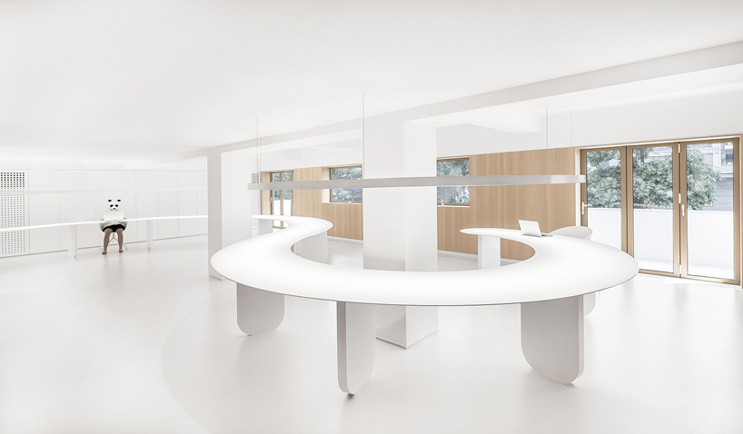 panda design builds a new office around a curved workspace in xiamen, china designboom