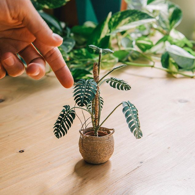 raya sader bujana intricately crafts tiny houseplants and woven baskets from paper designboom