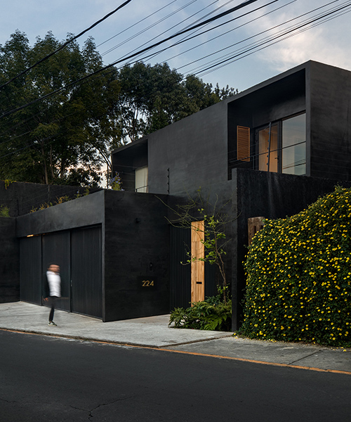 PPAA introduces matte black geometries to lush mexico city with its lluvia house