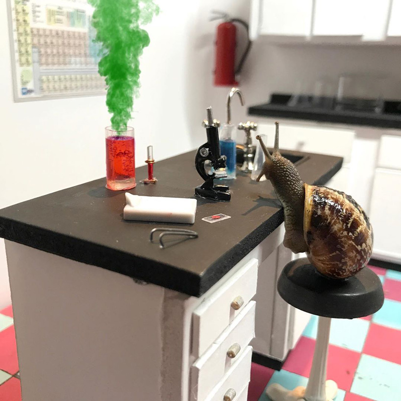 aleia murawski and sam copeland create miniature worlds for their pet snails