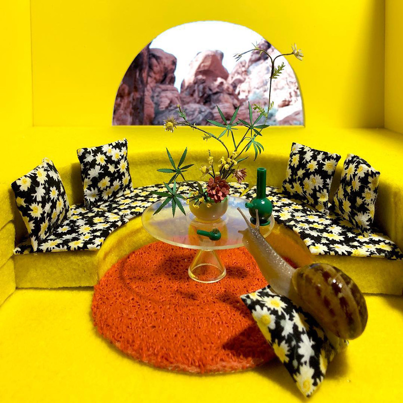 aleia murawski and sam copeland create miniature worlds for their pet snails