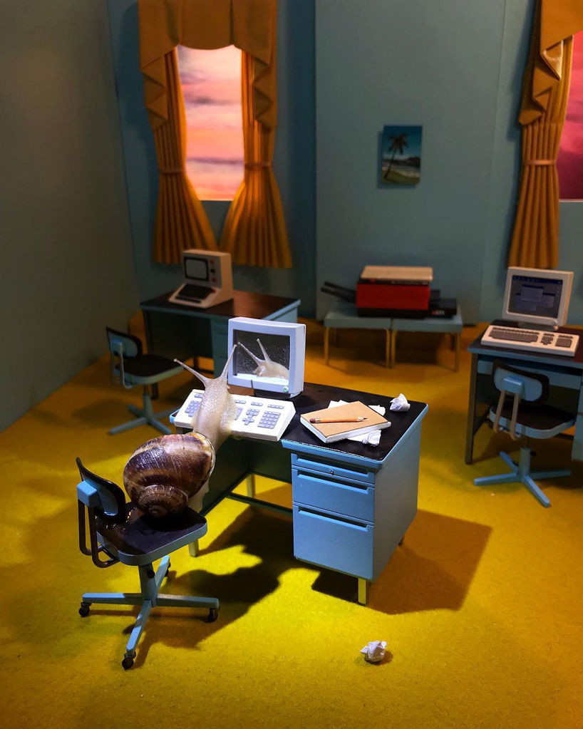 aleia murawski and sam copeland create miniature worlds for their pet snails