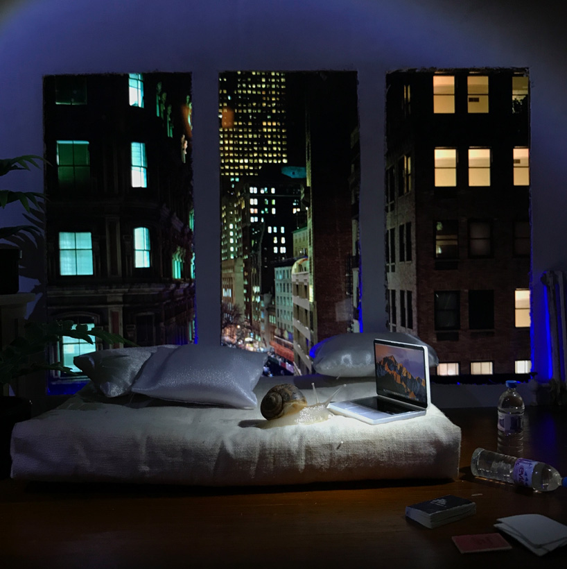 aleia murawski and sam copeland create miniature worlds for their pet snails