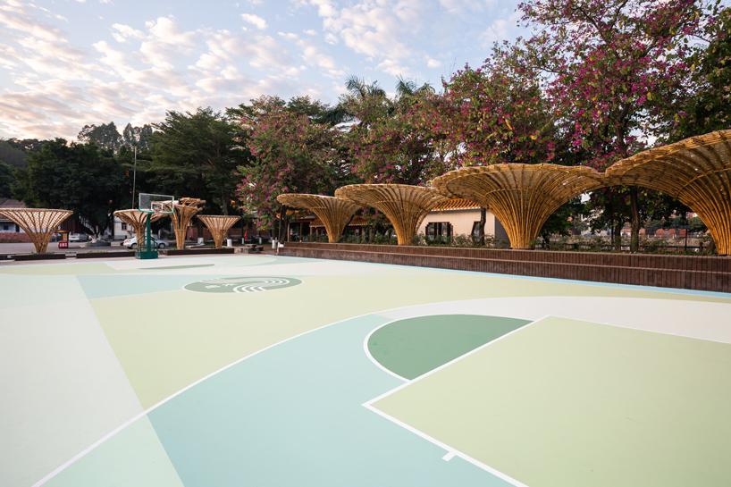 changqi stadium bamboo corridor