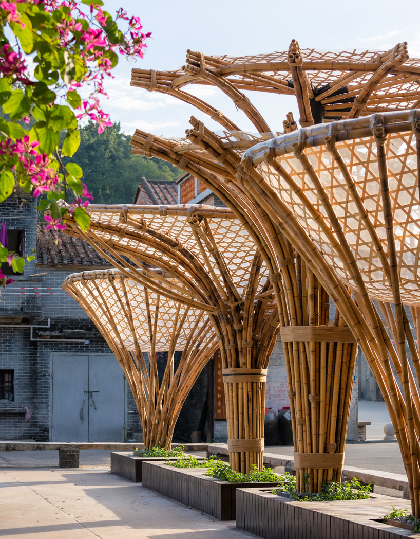 changqi stadium bamboo corridor