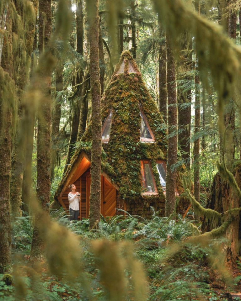 cabinland continues to grow with the mossy, dream-like diamond cabin