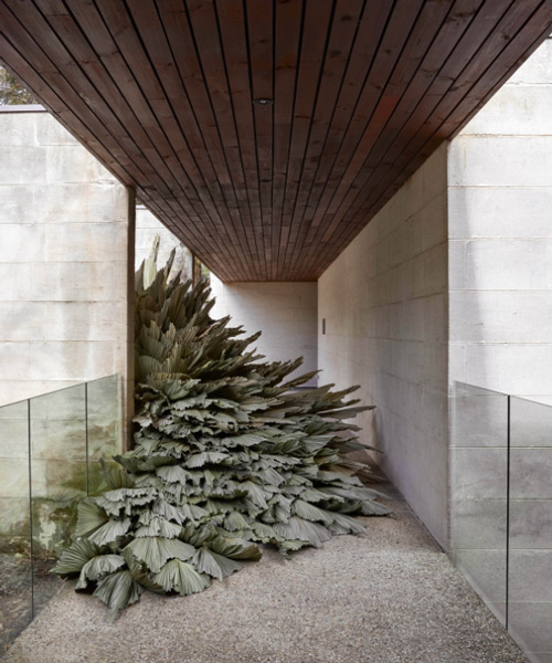 'en route' offers a lush, botanical intervention to australia's modernist heide museum