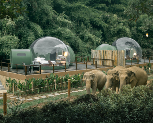 jungle bubbles at luxury resort in thailand let guests sleep alongside elephants