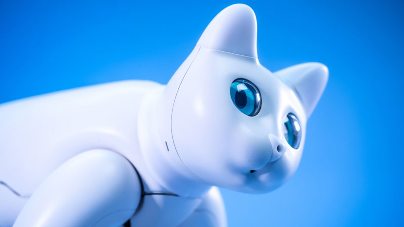 the marscat home bot is the world's first bionic robotic cat