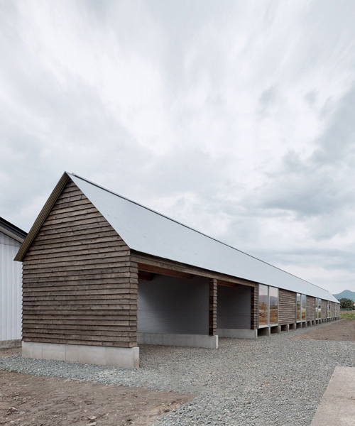 motoki ishikawa architect and associates constructs 50-meter-long wooden house in japan