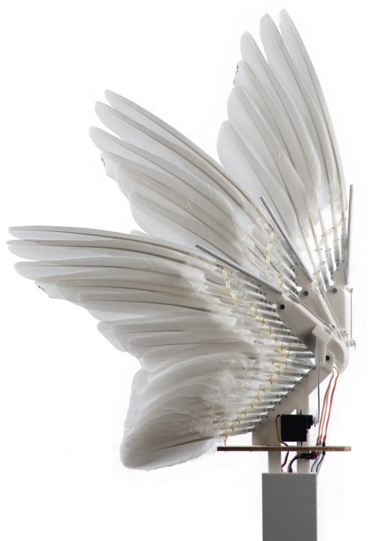 a robot bird built using 40 pigeon feathers flies like the real thing