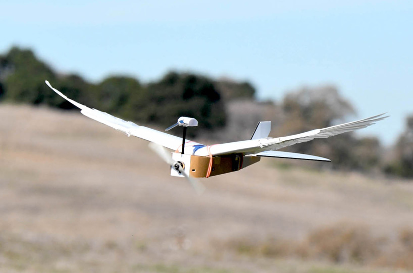 How Bird Feathers Stick Together for Superior Flight Control