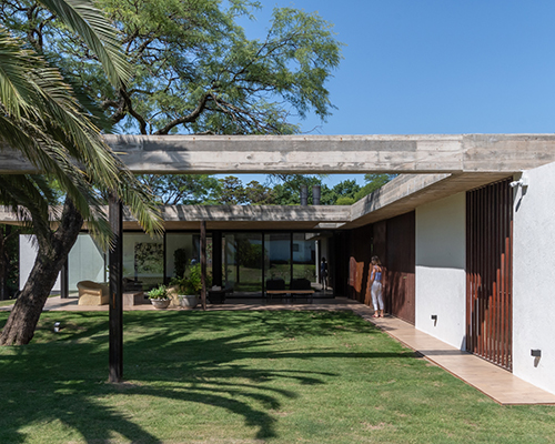 casa PLC by AR arquitectos integrates heritage trees on site within a slender frame