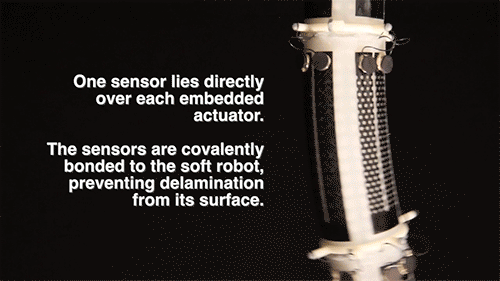 MIT's sensorized skin gives soft robots an idea of touch and place