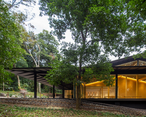 kengo kuma's museum for tokyo's meiji jingu shrine disappears into its forested setting
