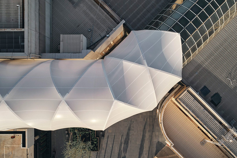 make architects completes curved ‘glulam’ timber structure walkway in melbourne