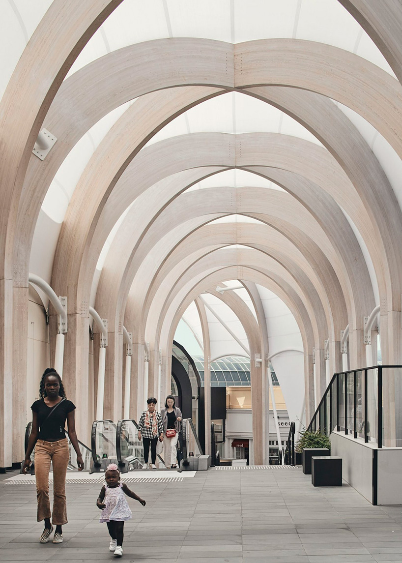 make architects completes curved ‘glulam’ timber structure walkway in melbourne