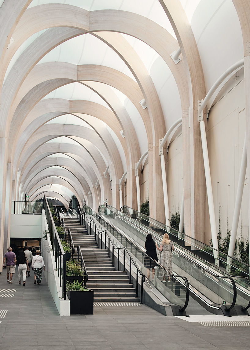 make architects completes curved ‘glulam’ timber structure walkway in melbourne