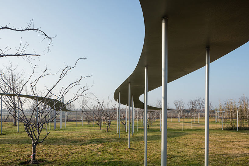 ryue nishizawa's jining art museum in china, photographed by paulo dos sousa