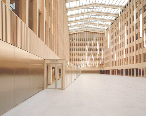 natural wood and warm lighting fill bfv architectes' office building in paris