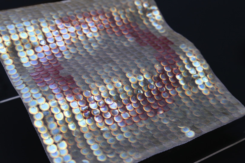 elissa brunato makes bio-iridescent sequins from wood as an alternative to plastic