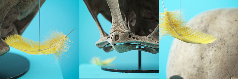 filip hodas envisions pop culture skeletons in cartoon fossils series