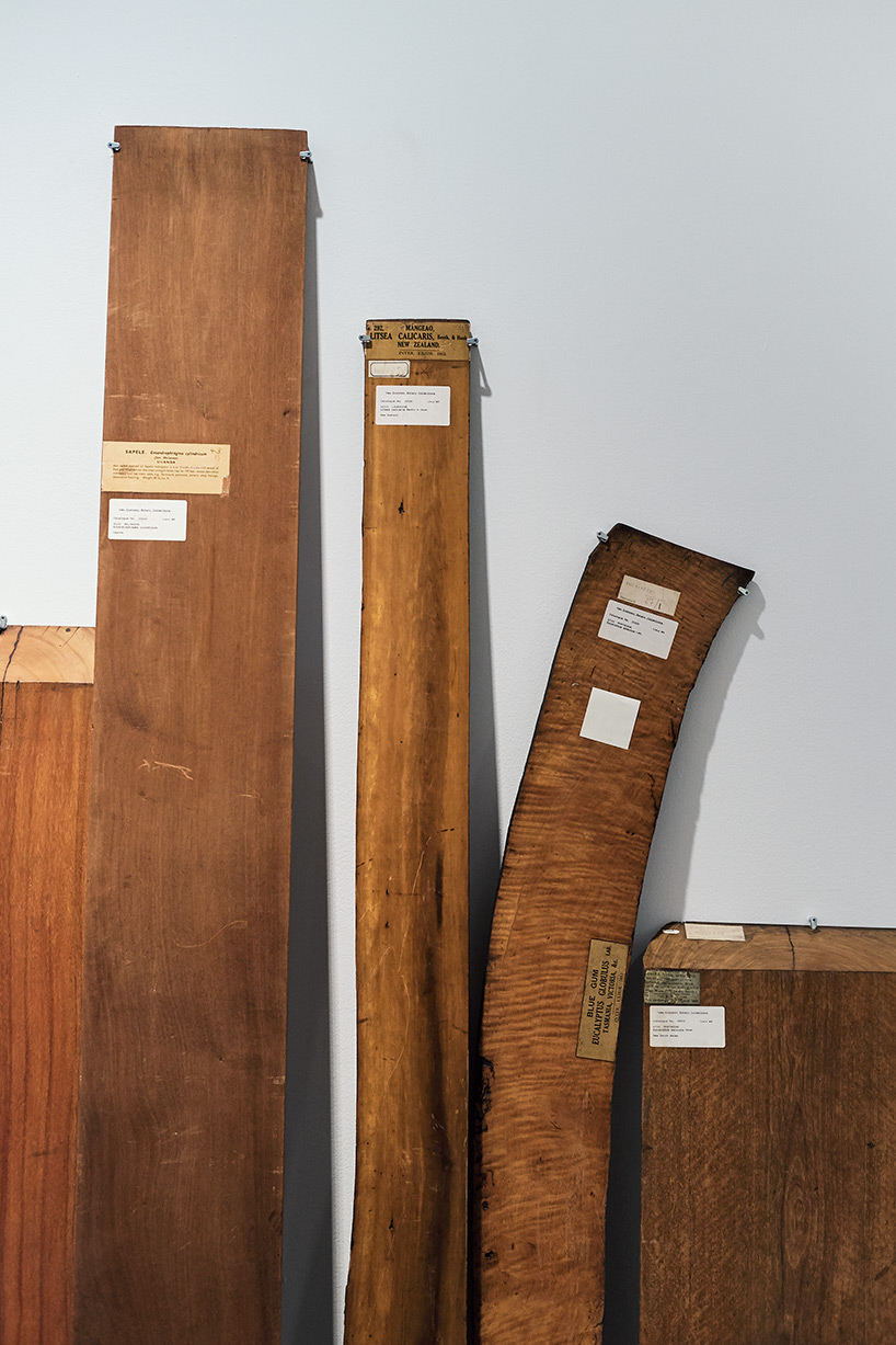 formafantasma timber serpentine