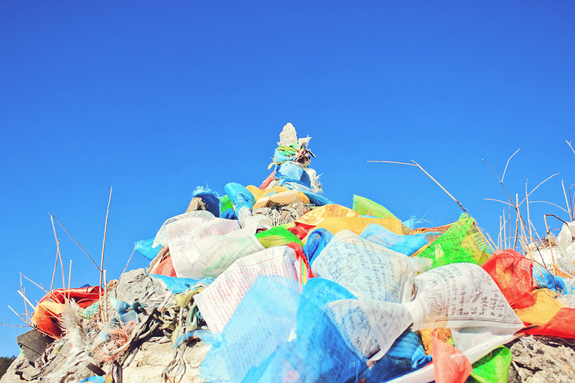 genecis bioindustries turns food waste into compostable plastics