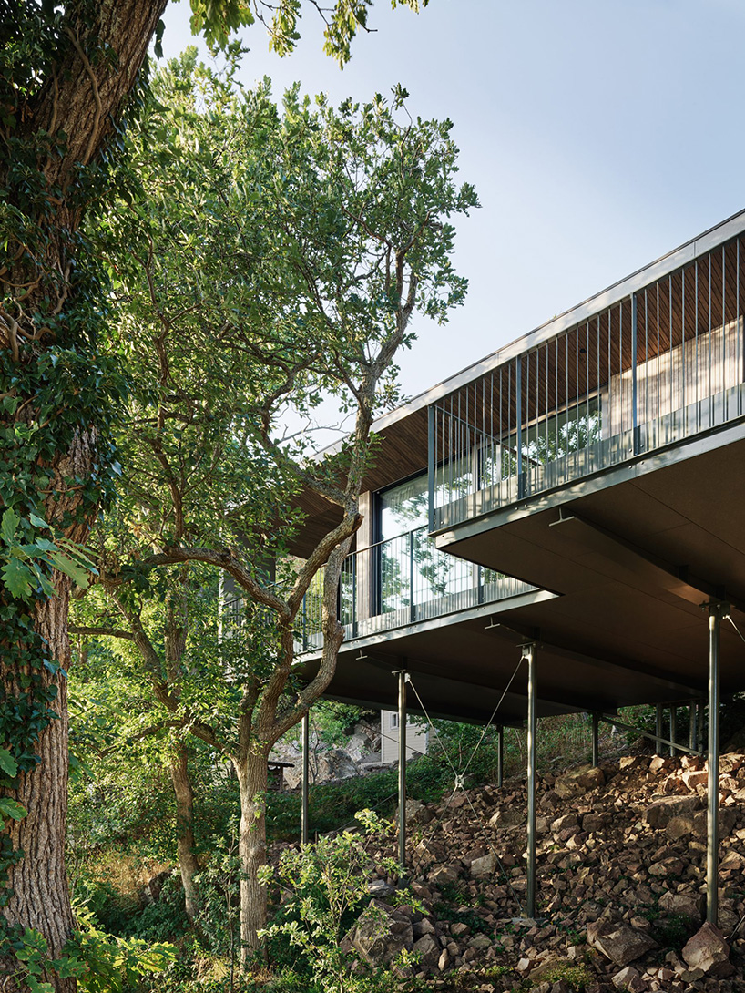 johan sundberg arkitektur elevates sommarhus solviken to the treetops in sweden