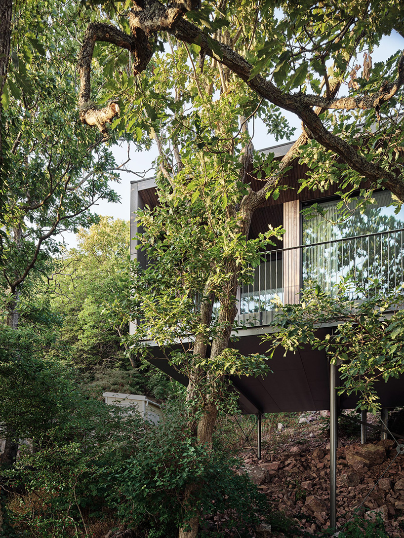 johan sundberg arkitektur elevates sommarhus solviken to the treetops in sweden