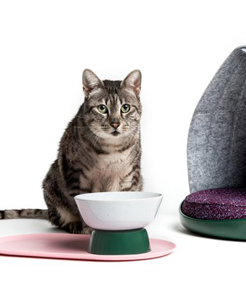 LAYER and cat person present a modern lifestyle collection for cats