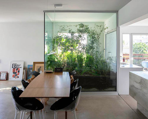 natalia bazaiou encases nature in glass as central element in greek apartment