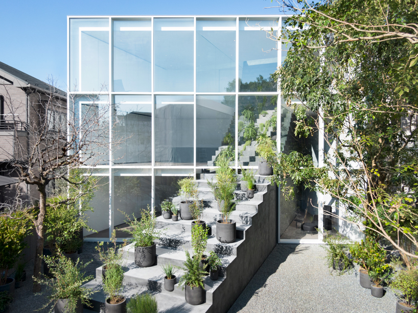 nendo's stairway house leads into a light, plant-filled interior in tokyo designboom